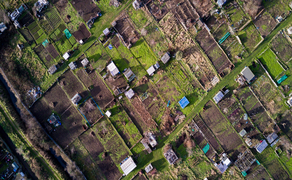 Aerial shot of farms.